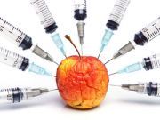 Are We Getting the Straight Truth About GMO’s in the Media?