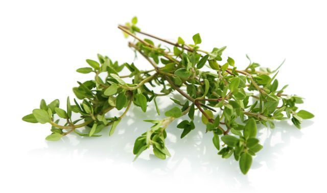 7 Reasons to Eat this Perennial Woody Shrub