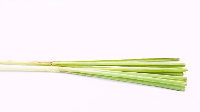 Fresh Lemongrass
