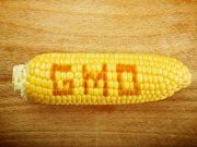 The Biggest “Natural Food” Lie of All Time