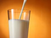 Breaking News: Is Milk Really Healthy?
