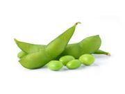 12 High Protein Snacks to Take on the Go