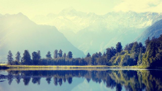 Rural Scene Outdoors Nature Trees Concept