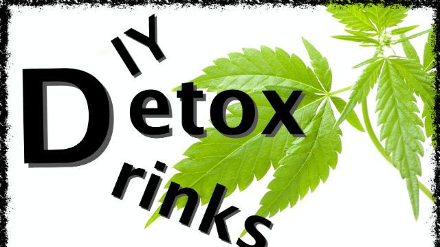 cannabis plant, marijuana on white background