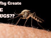 Why are We Creating GE Insects??