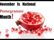 Top 5 Reasons to Eat More Pomegranates
