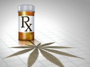 Study Finds Marijuana Shrinks Aggressive Brain Tumor