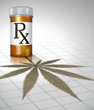 Study Finds Marijuana Shrinks Aggressive Brain Tumor