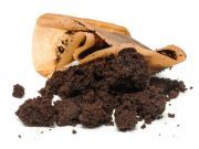 Strange Brew: A Cup of Manure with Cancer-Busting Benefits?