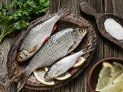 Will there Soon be Organic Fish?