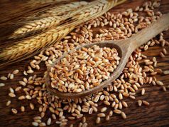 What is Non-Celiac Gluten Sensitivity?