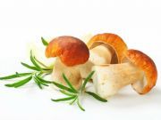 Grow Your Own Mushrooms: Here’s How