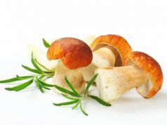 Grow Your Own Mushrooms: Here’s How