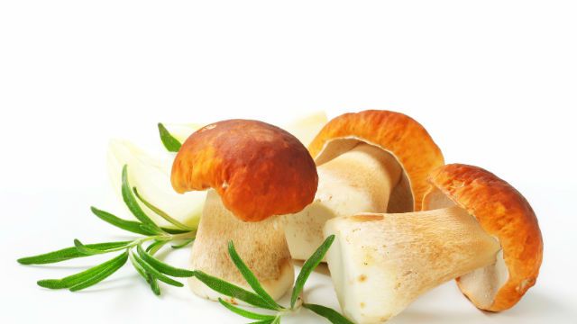 Fresh porcini mushrooms