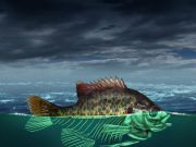 Cleanup Of Waterways Costly, But Benefits Outweigh the Expense