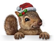 19 Things to NEVER Put on Your Christmas Tree