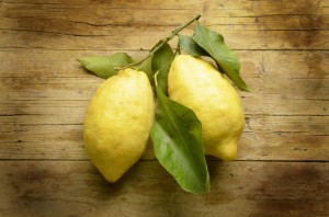 Citrus × limon Λεμόνι Citron Lemon Limone Expo Milano 2015