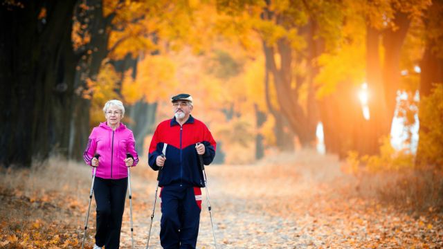 Nordic walking