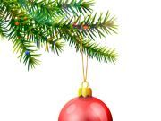 7 Alternatives to Live Christmas Trees