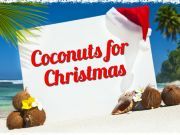 9 Totally Festive Things to do with Coconut Oil