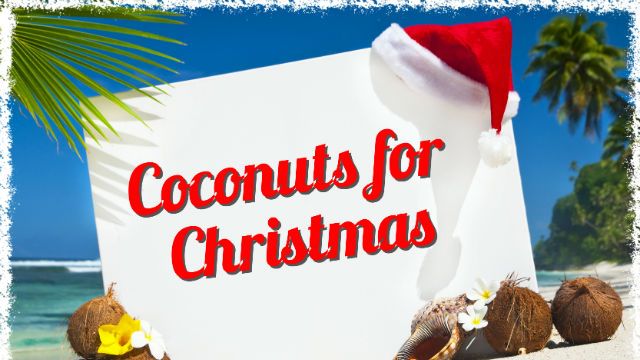 Christmas Themed Copy Space On The Beach