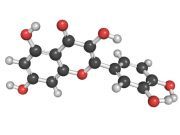 Study: Flavonoid-Rich Foods Linked to Lower Risk of Ovarian Cancer