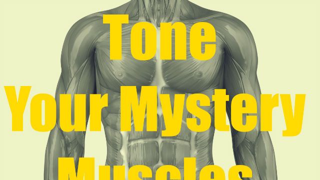 Man muscular system anatomy anterior view