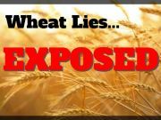 Are You High On Bread – Wheat Lies Exposed
