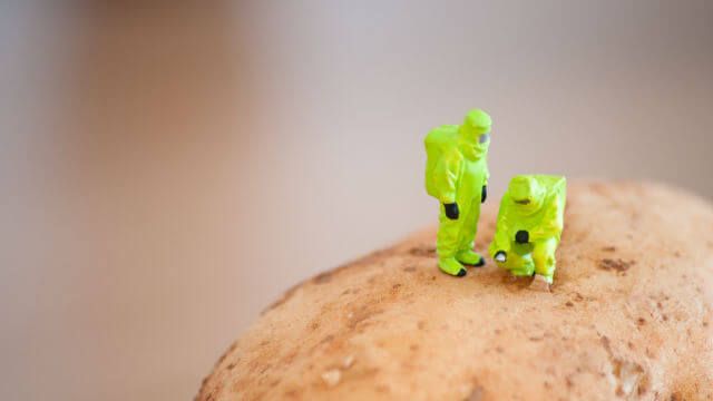 Group of Researchers in protective suit inspecting a potato.