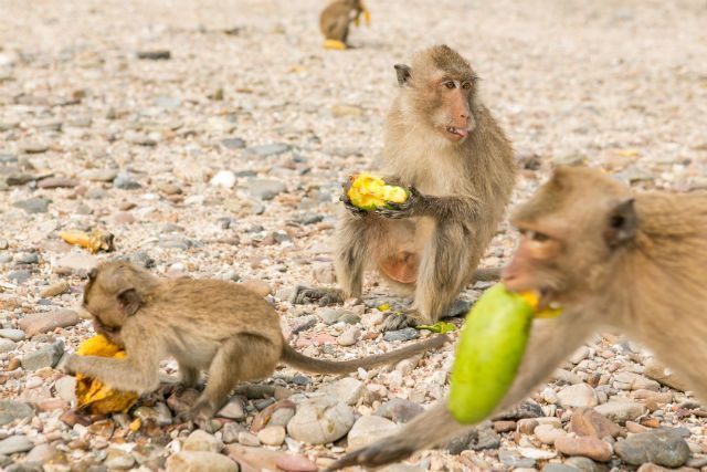 How to Stay Free from Social Eating Pressure and Not Lose Friends