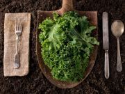 12 Things You May Not Know About Kale