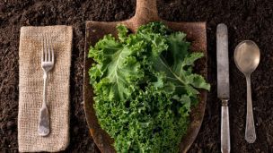 12 Things You May Not Know About Kale