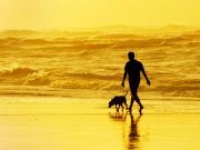Yes, Your Dog Does Make You a Better Person: Here’s How