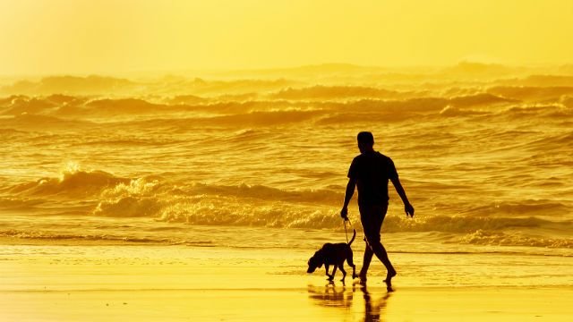 person walking the dog on beach
