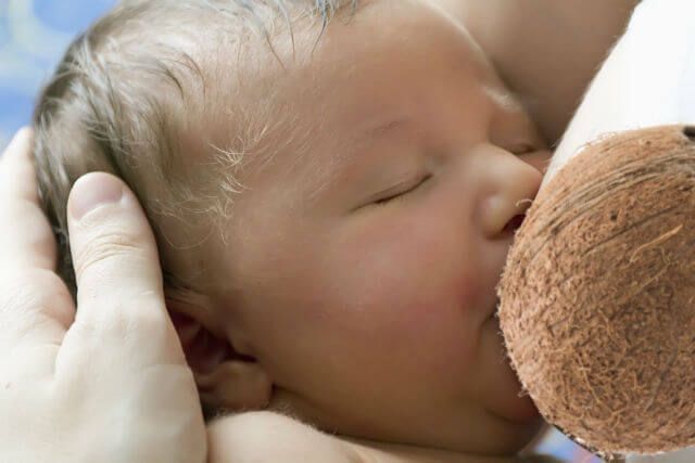 Better than Coconut Oil?