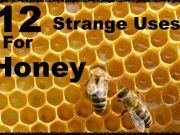 The Top 12 Strange but Healing Ways to Use Honey Every Day