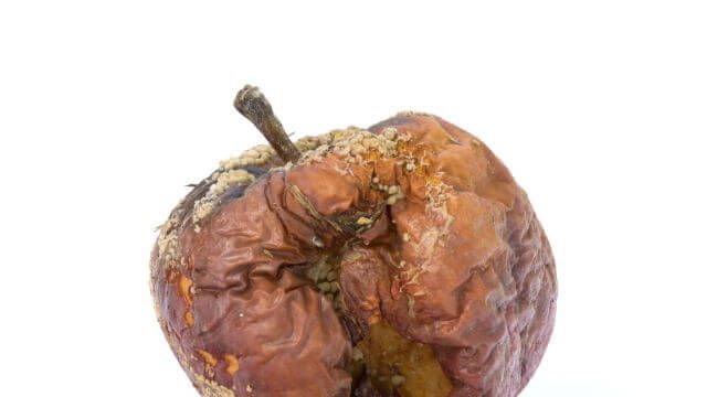 Old rotten apple with large DOF on white background