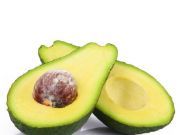 Grow an Avocado from Seed
