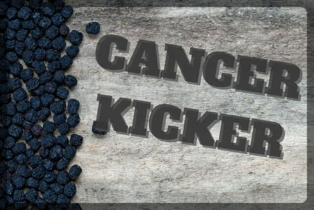 This Cancer Kicking Berry Also Dissolves Unwanted Fat
