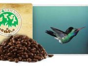 The Only Coffee You Should Buy…