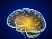 How Your Brain Is Wired To Keep You Safe