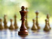 5 Board Games to Improve Brain Health