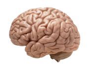 1 Weird Eye Trick to Improve Your Memory