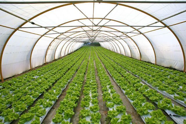 Could Indoor Agriculture, Plus Organic, Equal Super-Sustainability?