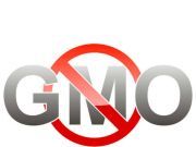 Costa Rica Shuts Down GMO Approval Process