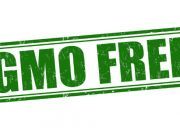 Is a ‘GMO-Free Europe’ a Possibility in the Near Future?