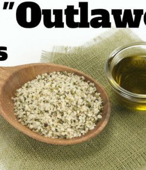 This “Outlawed” Crop Oil Can Prevent Heart Attack