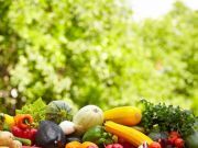 Eating Organic Can Indeed Lower Your Pesticide Exposure