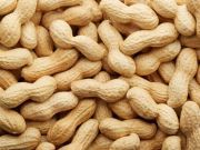 Finally, We are Close to Solving the Peanut Allergy Puzzle