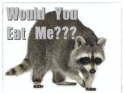 RACCOON Meat Found in This Supermarket